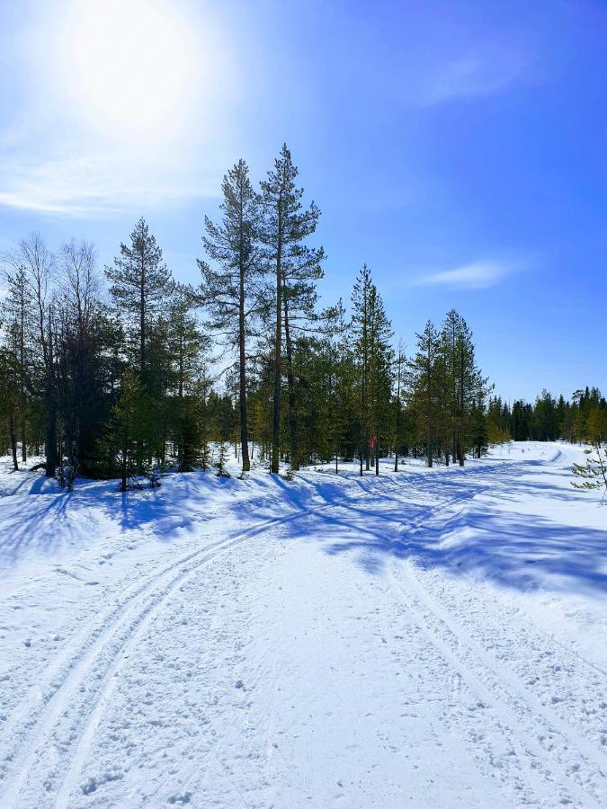Rukavalley Unique46 Ski In - Ski Out Eksteriør bilde